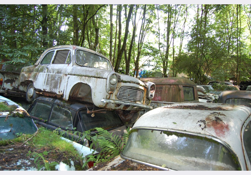 Illustration for article titled All 700+ Historischer Autofriedhof Gürbetal Cars To Be Sold!